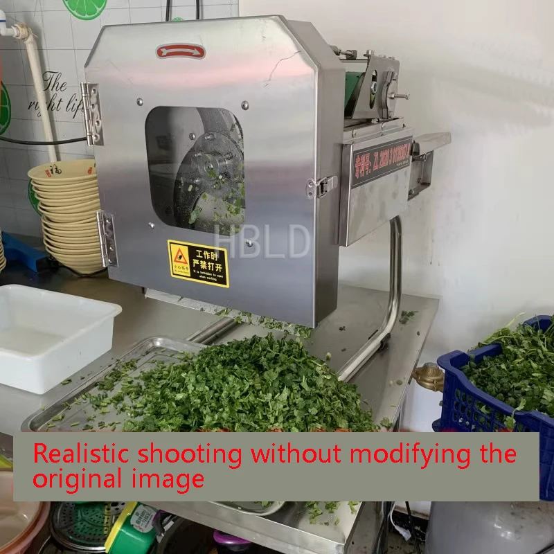 Маленькая электрическая овощер – обзор и цена Kitchen Appliances Green